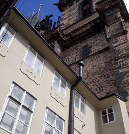 20230803_124839 small oriznute